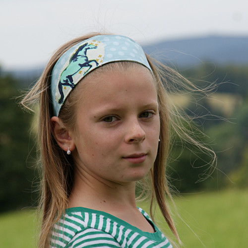 Koníková...čelenka — foto 2