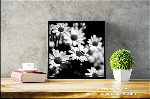 Luční kvítí — foto 2