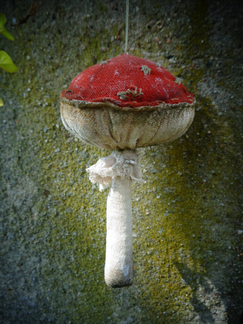 Muchomůrka — foto 2
