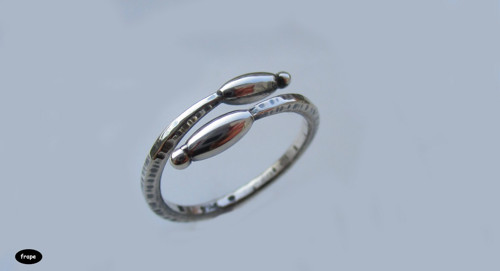 Worm2 — foto 2