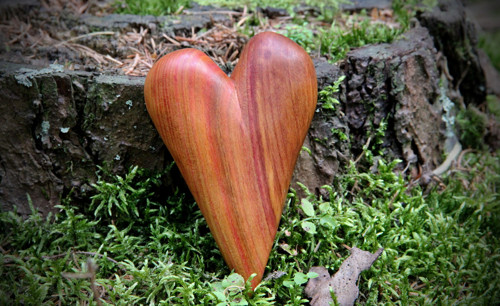 Švestkové dlachňadlo — foto 5