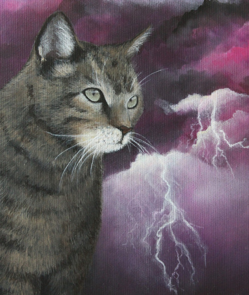 Storm is coming (Přichází bouřka) — foto 2