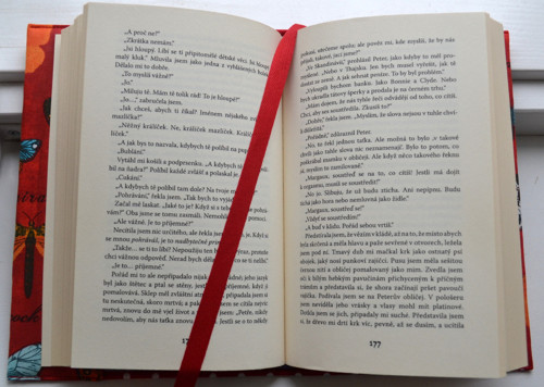 Obal Motýlci — foto 4