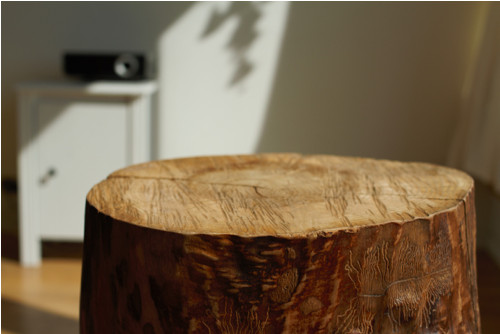 Madera Bruta — foto 2