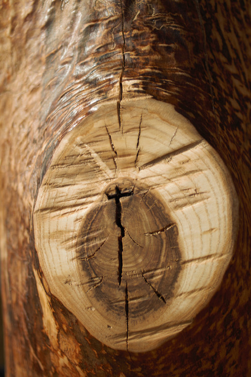 Madera Bruta — foto 4