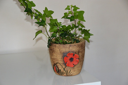Obal vlčí máky-VEL.2-IHNED SKLADEM — foto 5