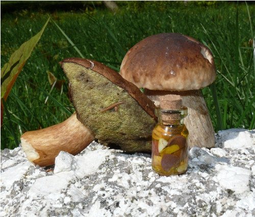 Nakládané hříbky — foto 2