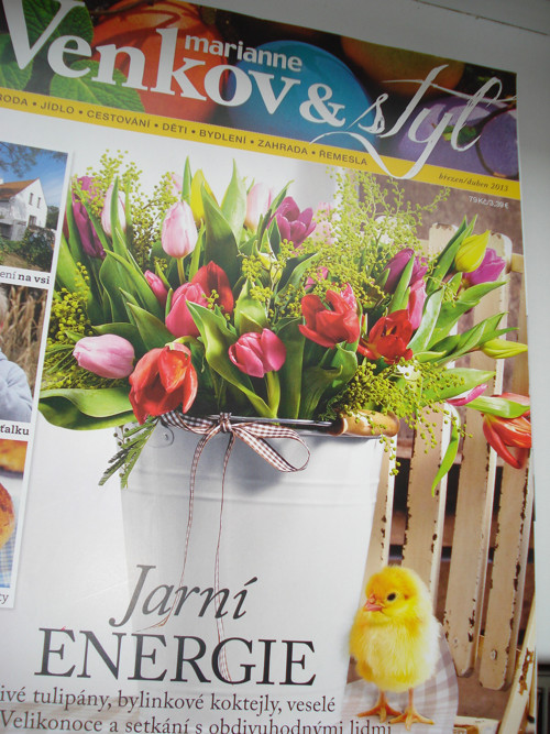 Marianne - Venkov a styl — foto 2