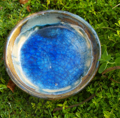 Miska - modrá — foto 3