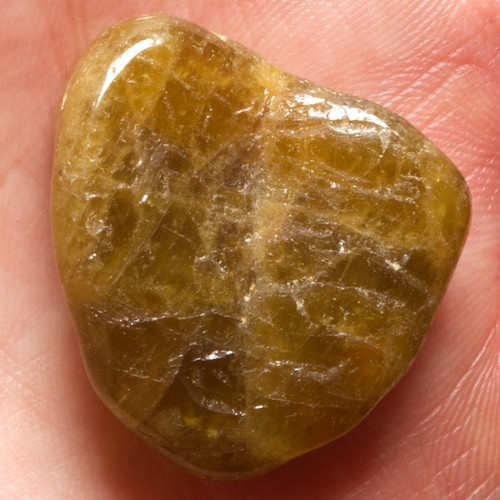 Beryl — foto 3