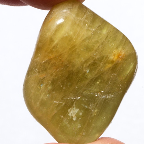Beryl — foto 3