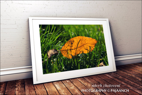 Příprava na podzim — foto 2