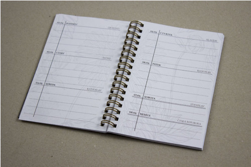 V alejích - DIÁŘ 2017 — foto 4