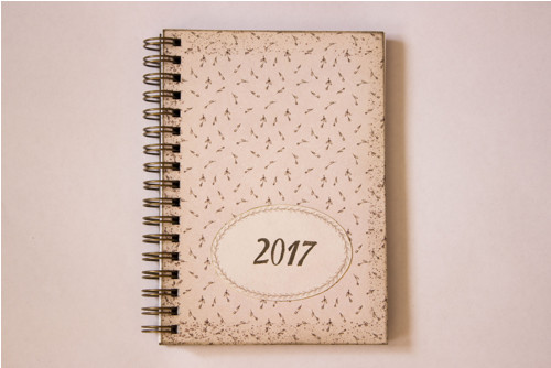 Poupátka - DIÁŘ 2017 — foto 2