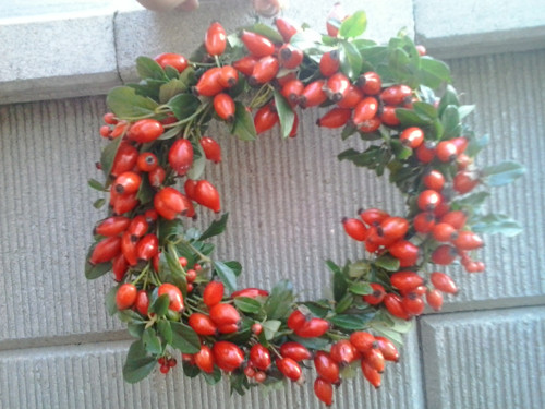Šípkový — foto 4