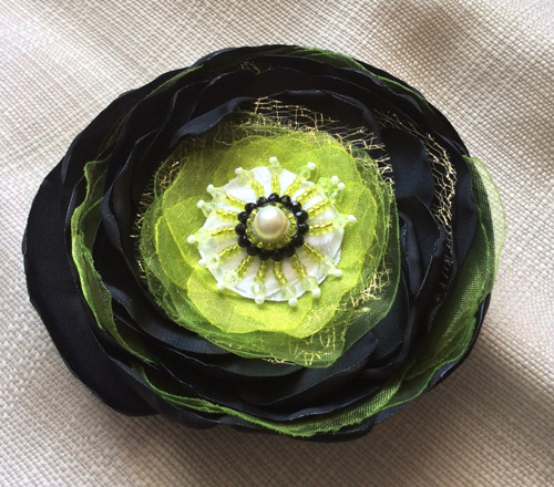 Kiwi — foto 2