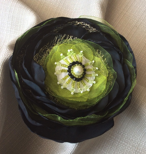 Kiwi — foto 4