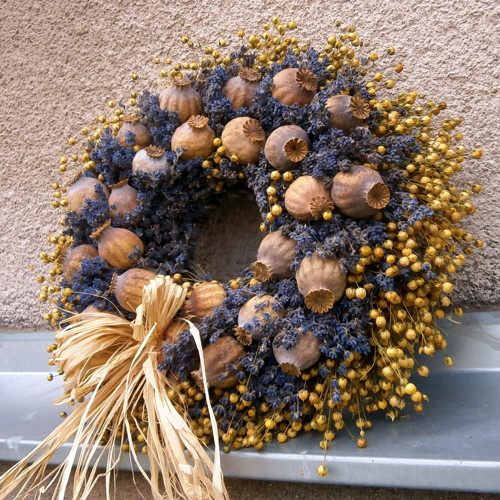 Makovičák levandulový... — foto 3