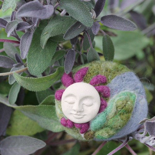 Salvia officinalis — foto 2