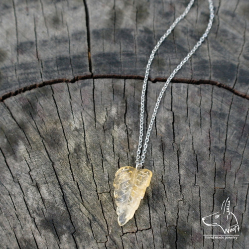 Podzimní listí — foto 4
