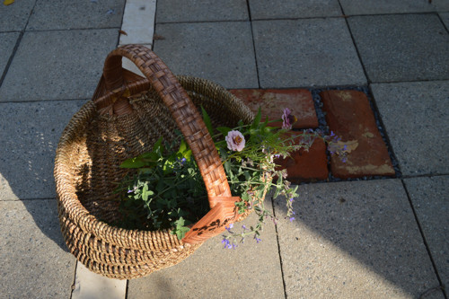 Francouzský košík elhar — foto 3