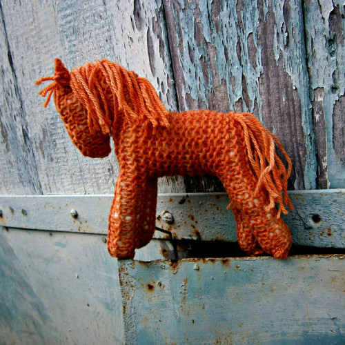 Koník Pumpkin — foto 3