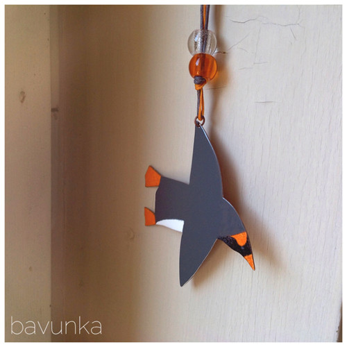 Tučňák — foto 3