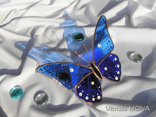 Motýl Alfréd modrý — foto 3