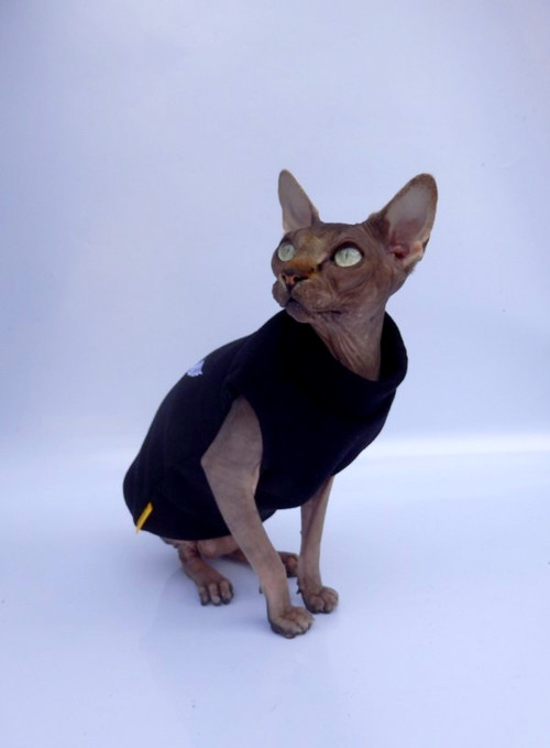 Svetr pro sphynxe — foto 3
