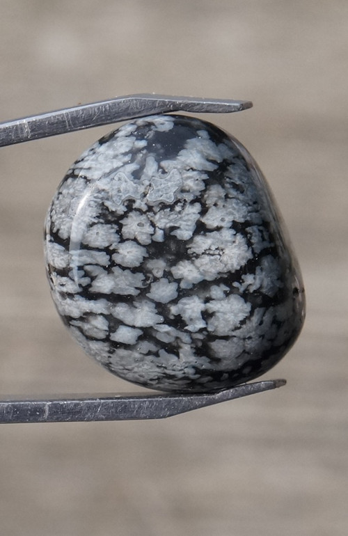 Obsidián sněžný D6570 — foto 2