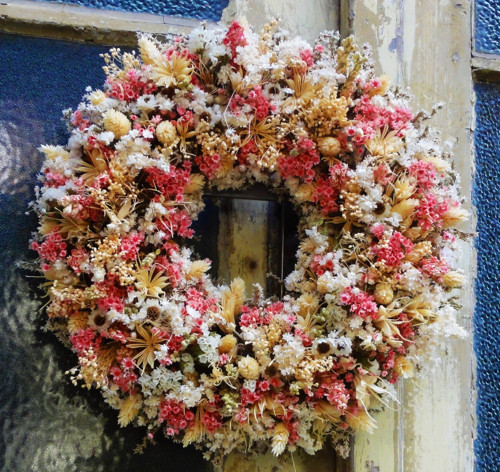 Smetanovorůžový — foto 2