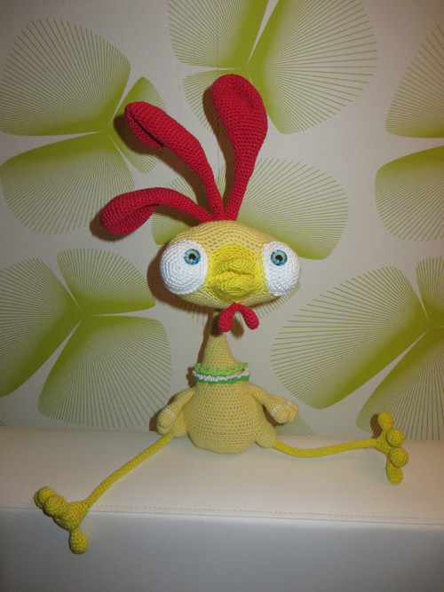 Vykulený kuře — foto 3