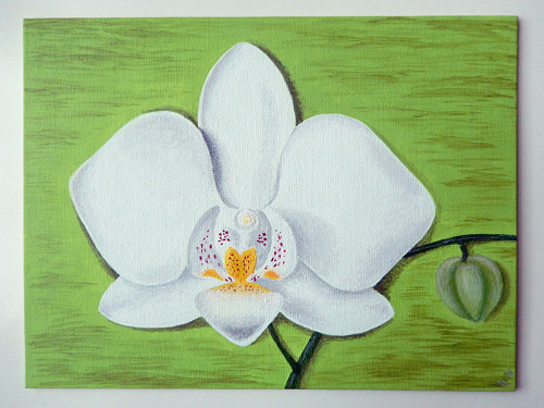 Orchidej — foto 2