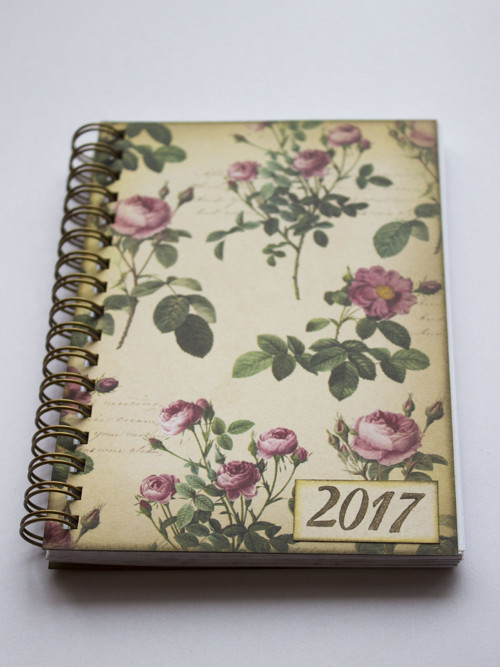 Růžová poupata - DIÁŘ 2017 — foto 2
