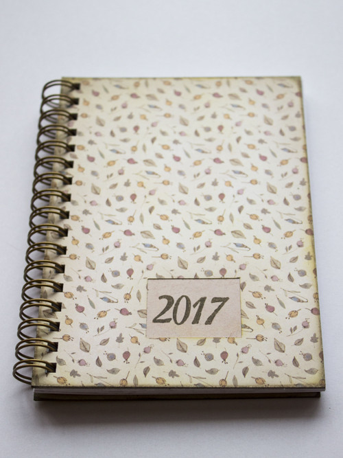 Kvítky posetý - DIÁŘ 2017 — foto 2