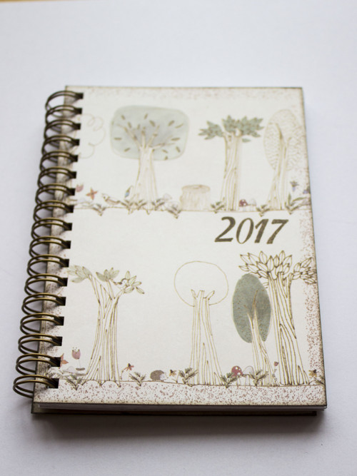 V alejích - DIÁŘ 2017 — foto 2