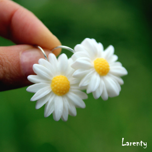 Kopretiny 2 cm — foto 2