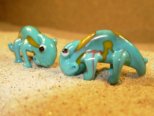 Chameleon modrožlutý — foto 2