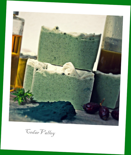 °°PURITY°° Tuhý šampon Nimba & Spirulina — foto 3