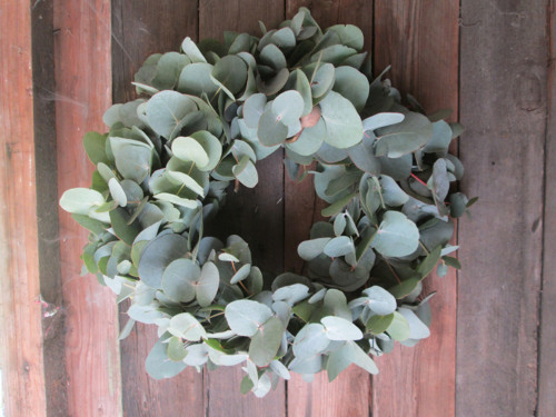 Eucalyptový — foto 4