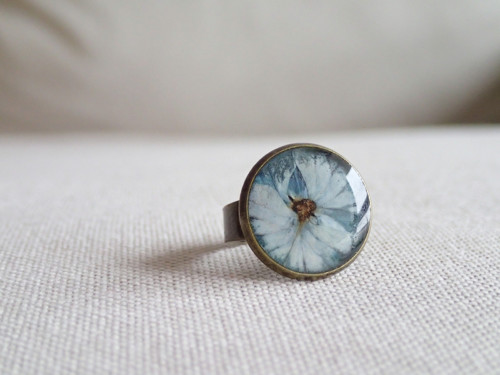 Hortensia blue — foto 2