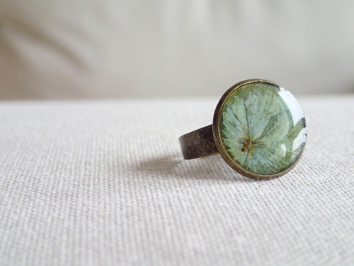 Hortensia green — foto 2