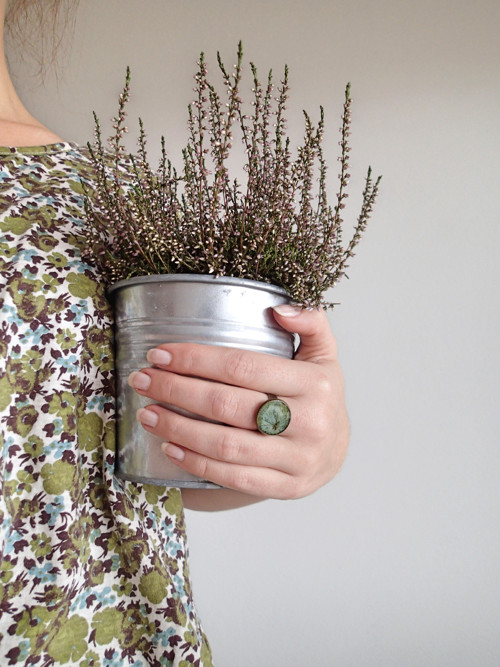 Hortensia green — foto 4