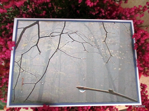 Teardrop — foto 3