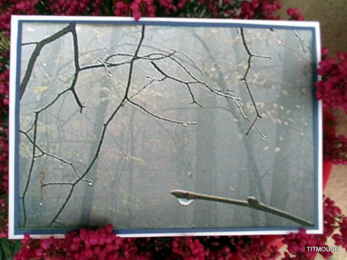 Teardrop — foto 4