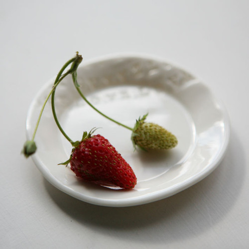 Prosvítavý mini (porcelán) — foto 3