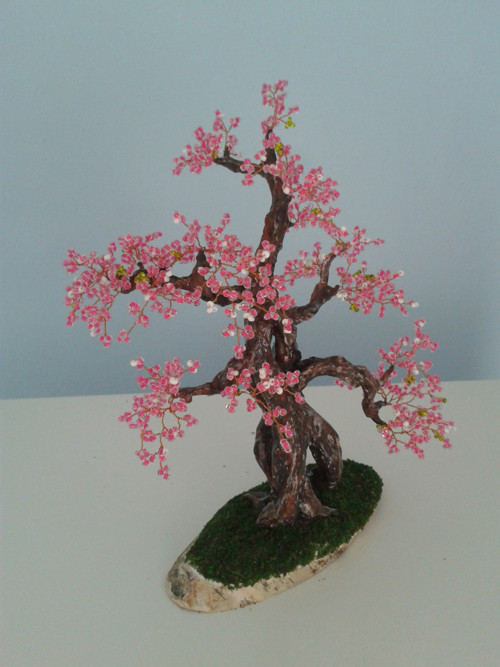 Sakura — foto 2