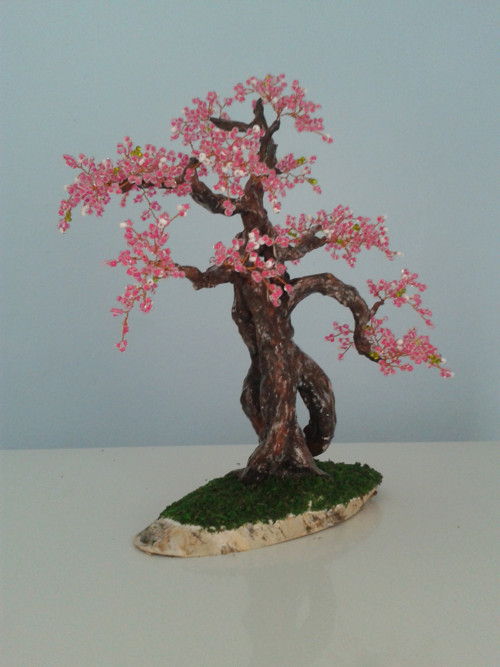 Sakura — foto 3