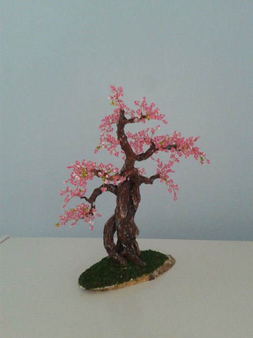 Sakura — foto 4