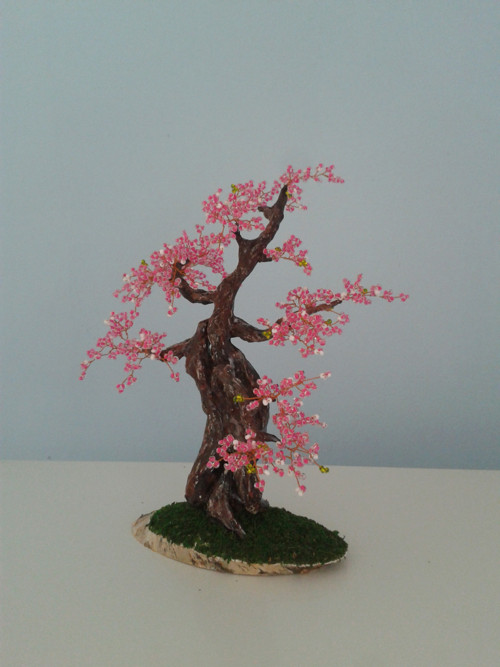 Sakura — foto 5